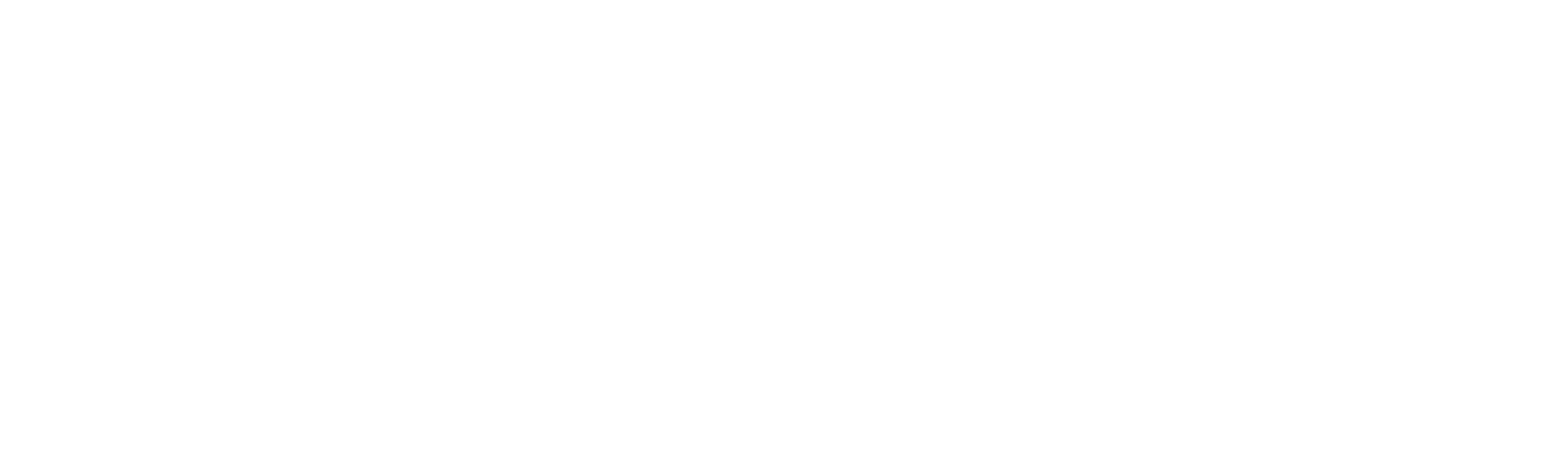 The lite Rails Logo; the header.